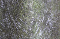 Rose Grove fibreglass roof work